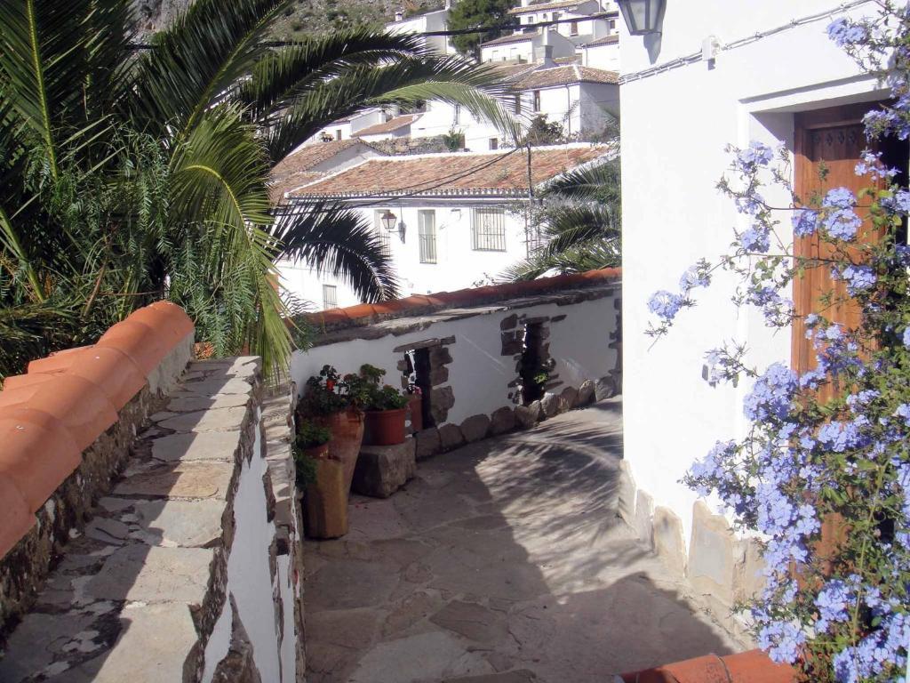 Apartamentos Buganvilla Villaluenga Del Rosario Room photo